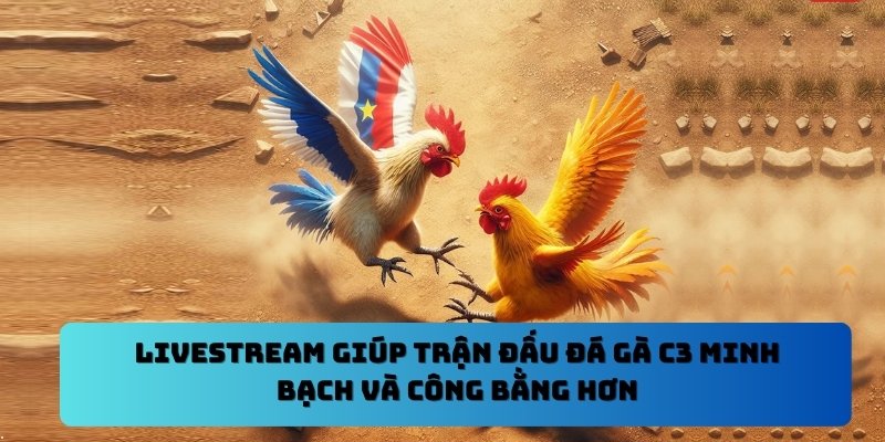 Livestream giúp trận đấu đá gà C3 minh bạch và công bằng hơn