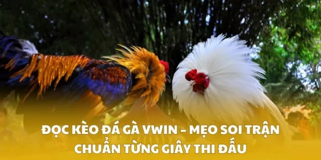 Đọc Kèo Đá Gà