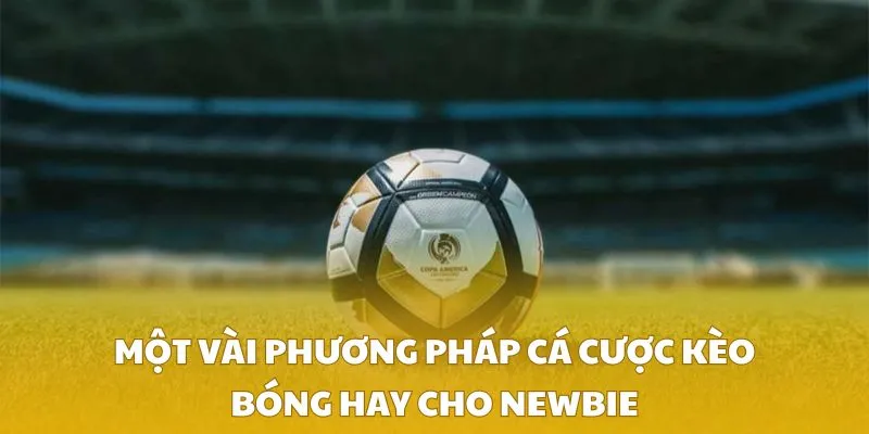 Một vài phương pháp cá cược kèo bóng hay cho newbie