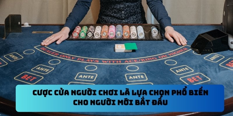 Cược cửa Người chơi là lựa chọn phổ biến cho người mới bắt đầu